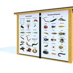 Walk-In Store with Nature Identification Charts
